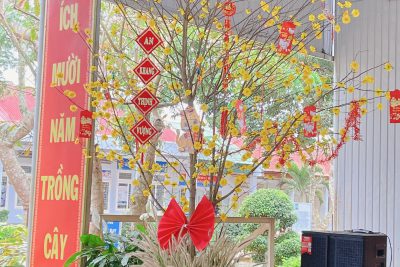 Những cánh hoa đào đang nở rực rỡ, tiết xuân đang về tràn ngập cả đất trời báo hiệu mùa xuân đã về. Vâng, mỗi khi nhắc đến Tết Nguyên Đán là ai trong chúng ta cũng vô cùng náo nức trong lòng. Mỗi khi Tết đến, có rất nhiều điều mà chúng ta mong chờ như bánh chưng xanh, thịt mỡ, dưa hành, câu đối đỏ , những lời chúc và hơn hết Tết là ngày gia đình đoàn tụ, sum vầy… Đúng như vậy, ngày Tết cổ truyền đối với người Việt Nam ta là những ngày vô cùng có ý nghĩa. Bởi nó là lễ hội lớn nhất trong các lễ hội truyền thống, là điểm giao thời giữa năm cũ và năm mới, thể hiện niềm tin, khao khát của mọi người về một cuộc sống tốt đẹp hơn.  Hôm nay, hòa trong không khí vui tươi đón Tết trên khắp miền đất nước, Trường TH Nguyễn Viết Xuân tổ chức chương trình trang trí “không gian ngày tết cổ truyền”. Đây là chương trình nhằm gìn giữ, phát huy những giá trị truyền thống của dân tộc, cũng như gắn kết thể hiện tài năng, sự khéo léo của các em học sinh trong việc trang trí “không gian ngày tết cổ truyền” mang hồn của dân tộc.